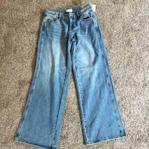 Pacsun Lowrise Baggy Jeans